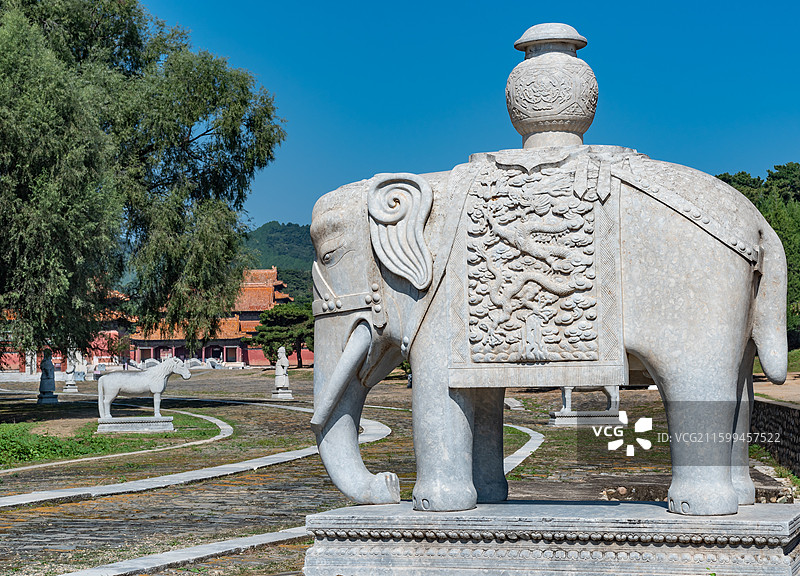 河北遵化清东陵康熙皇帝景陵石像生石象图片素材