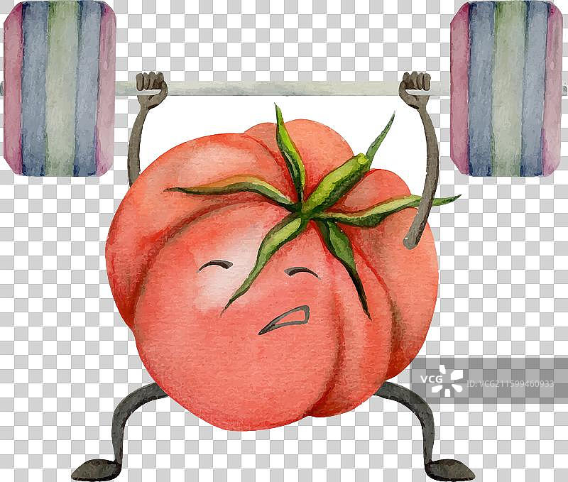 手绘水彩可爱番茄角色正在做图片素材