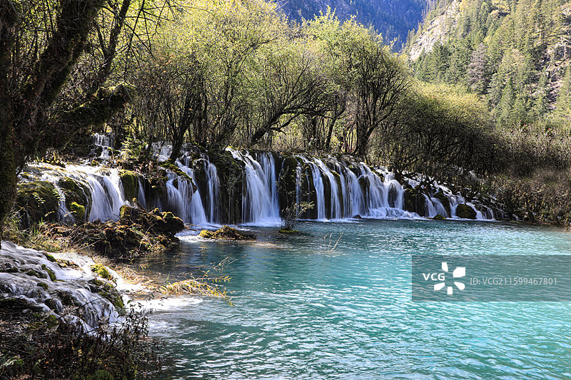 九寨沟之箭竹海瀑布图片素材