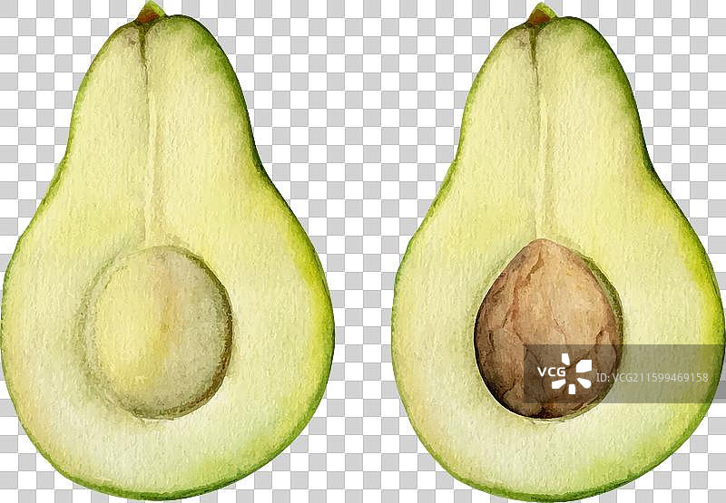 手绘水彩牛油果绿色蔬菜图片素材