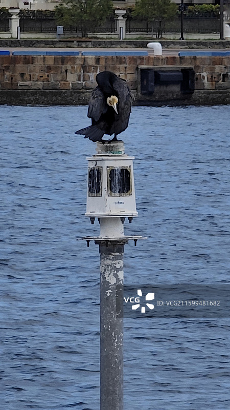 神户马赛克广场是神户港旁的南欧风格商业广场，集购物、餐饮、娱乐于一体，夜景迷人。图片素材