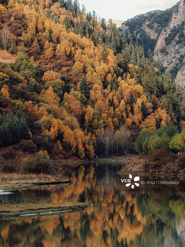 川西彩林-1图片素材