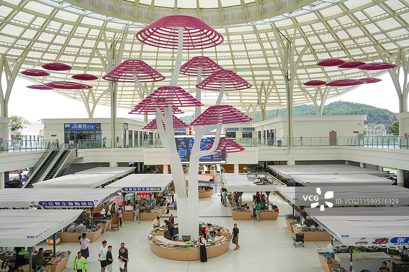 南华县国际野生菌交易市场图片素材