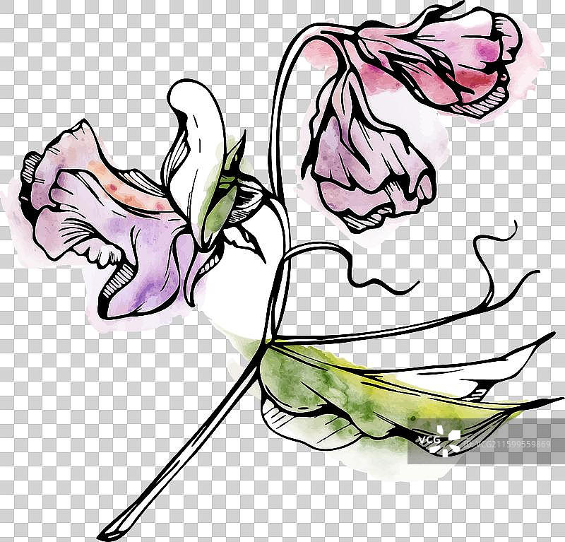 手绘水彩墨水植物花卉图片素材