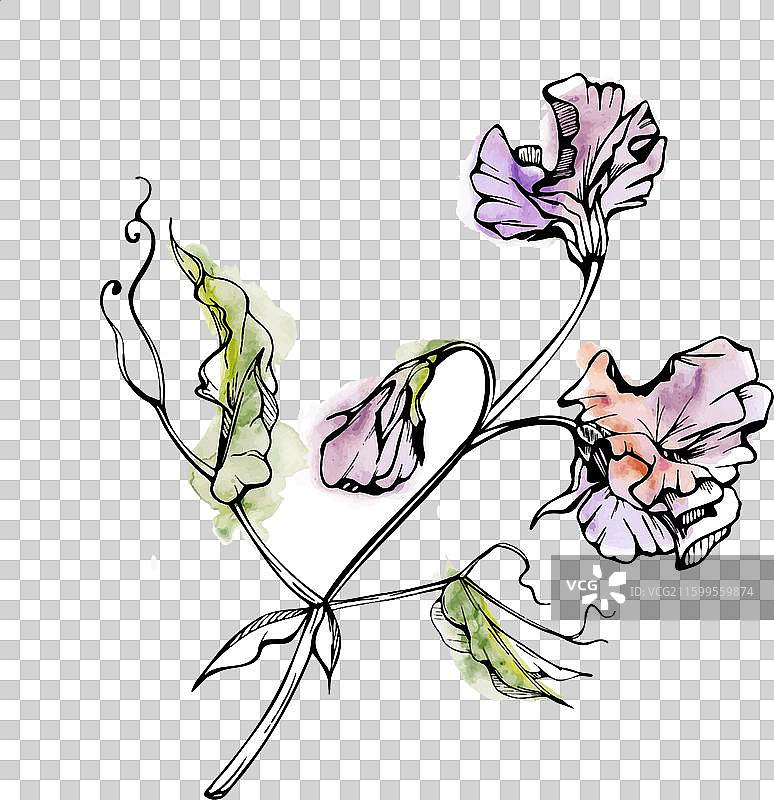 手绘水彩墨水植物花卉图片素材