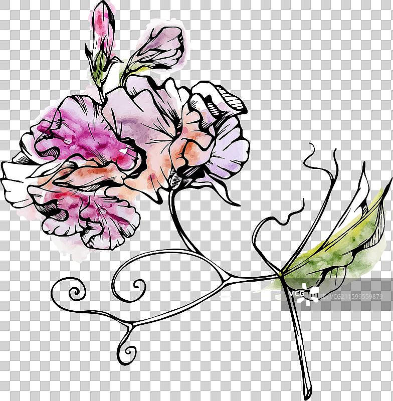 手绘水彩墨水植物花卉图片素材