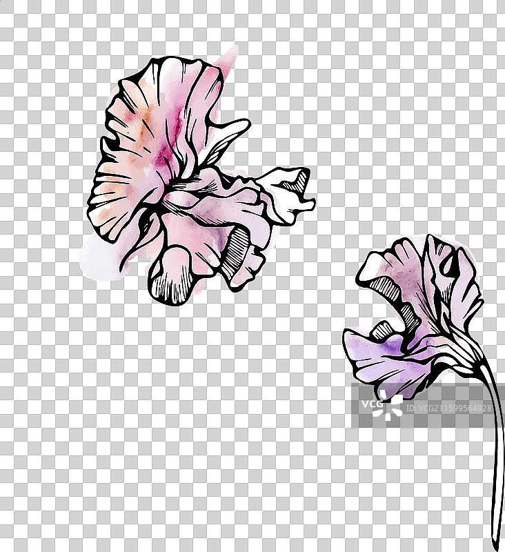 手绘水彩墨水植物花卉图片素材