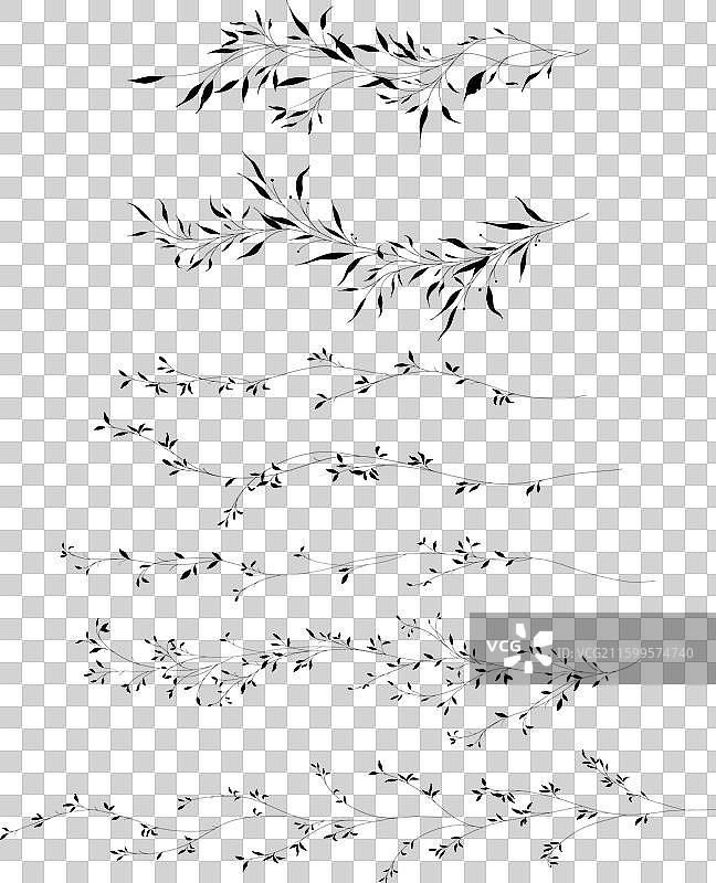 一套手绘植物叶子和树枝图片素材