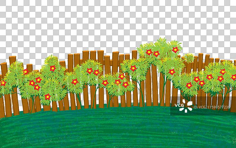 免抠元素 花卉插画 围墙上盛开的茑萝松花卉图片素材