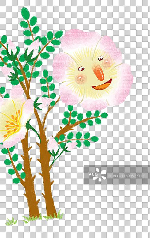 免抠元素 花卉插画 开心的蔷薇花图片素材