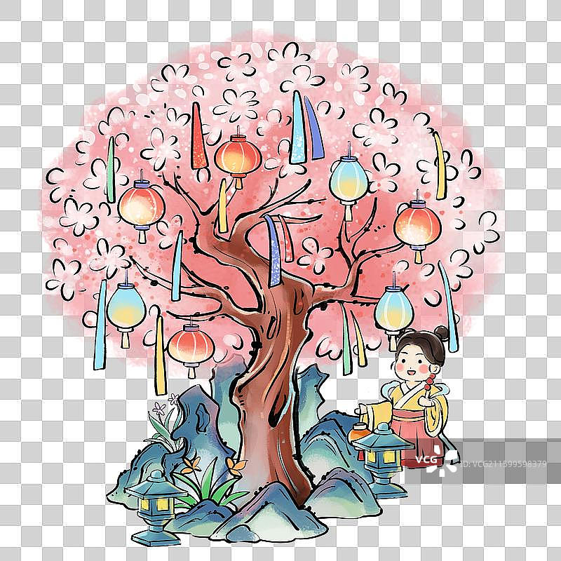 灯笼树图片素材