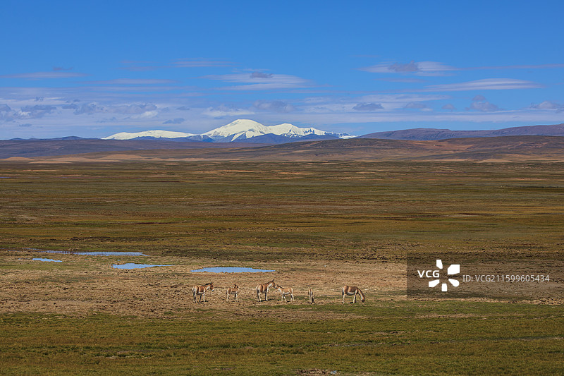 玉珠峰脚下图片素材