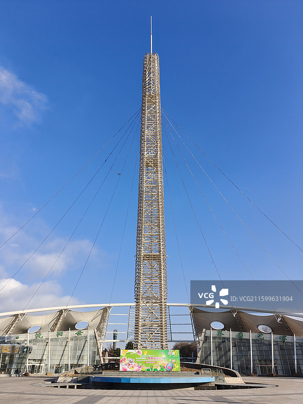 沈阳植物园凤之翼图片素材