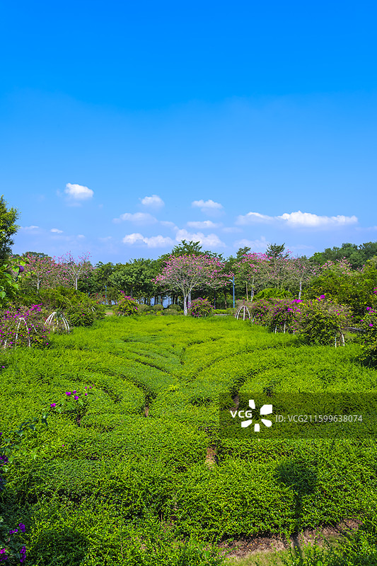 南宁园博园，法国园图片素材