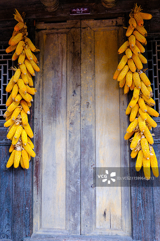 丰收图景 挂满墙壁的红色辣椒红高粱和金色的玉米，竹编灯龙和盛装苗家阿妹画像图片素材