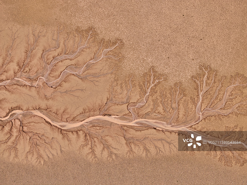 西藏天空之树图片素材