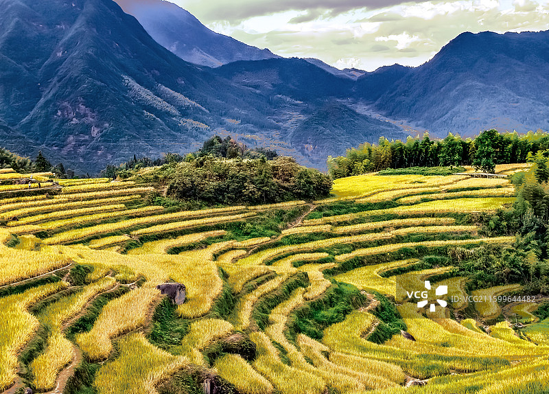 丽水云和梯田图片素材