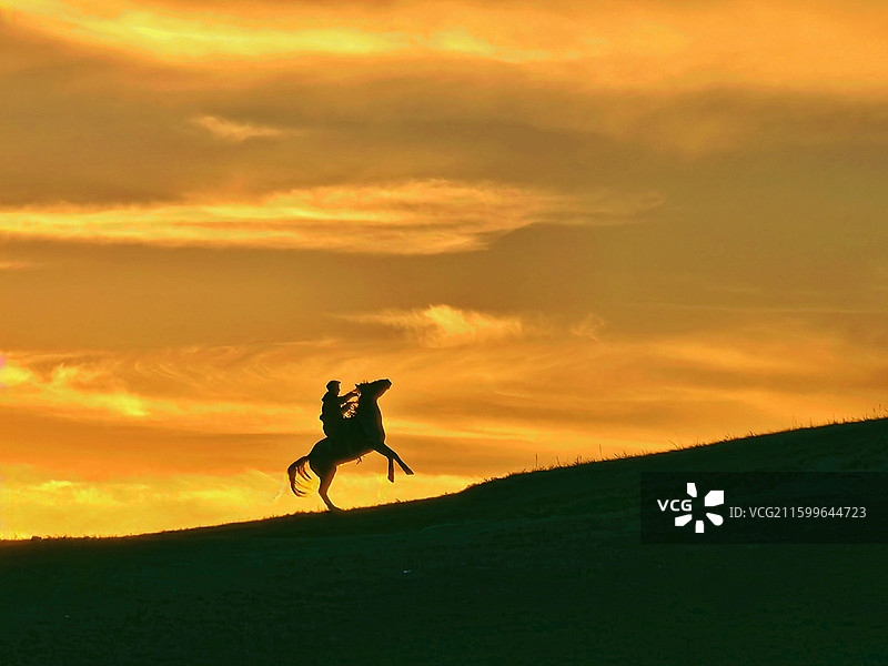 立马乌兰布统图片素材