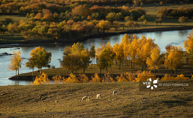 呼伦贝尔秋景-黑山头落日图片素材