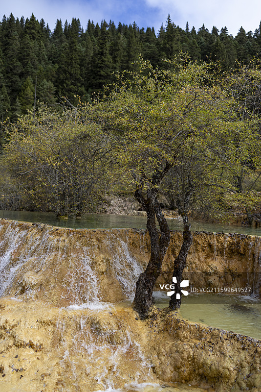 四川阿坝黄龙景区美景图片素材