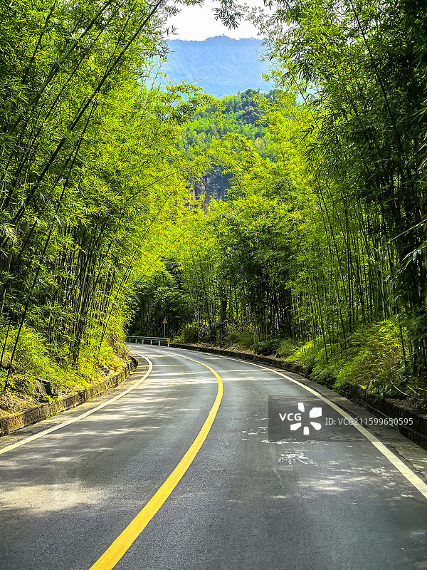中国贵州遵义赤水市赤水丹霞旅游区佛光岩景区竹林掩映下的景区道路，赤水竹海林荫道，赤水丹霞风光图片素材