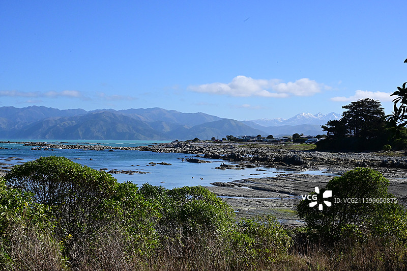 新西兰凯库拉 Kaikura图片素材