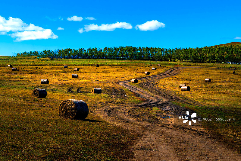 秋色满山川，牧歌起暮烟图片素材