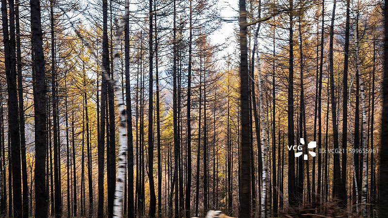 临汾霍州-七里峪深秋图片素材
