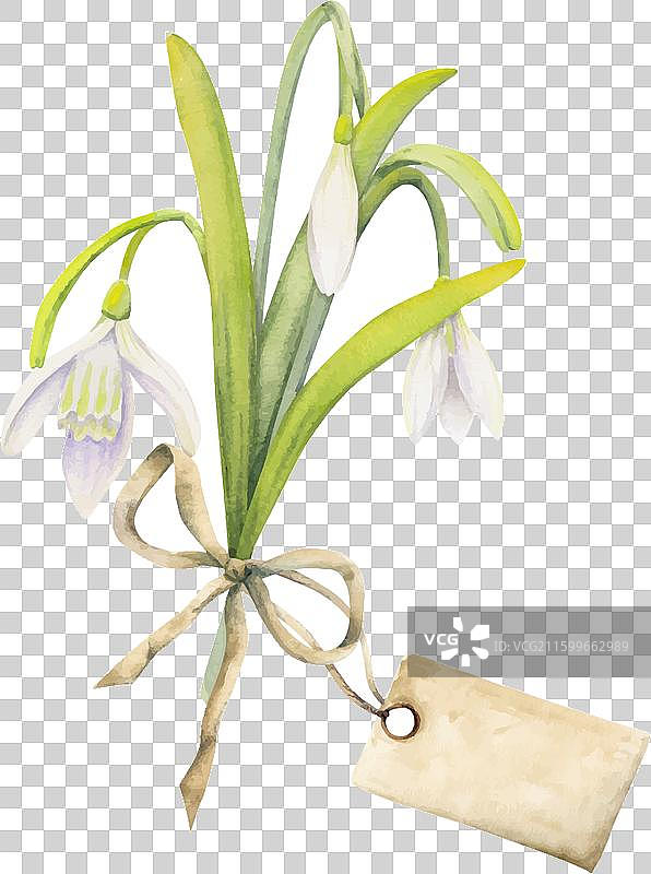 春季水彩手绘构图图片素材