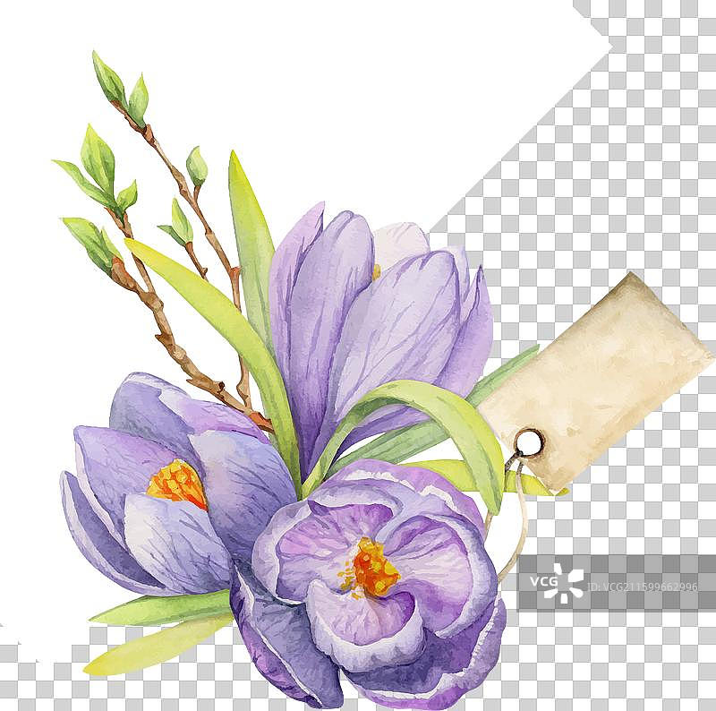 手绘水彩风格的春季组合插画图片素材