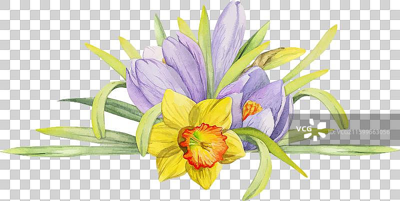 手绘水彩风格的春季组合插画图片素材