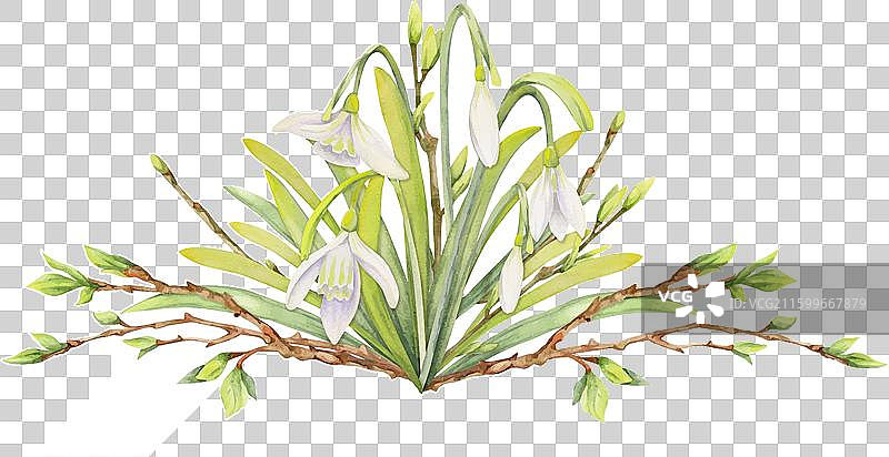 手绘水彩风格的春季构图图片素材