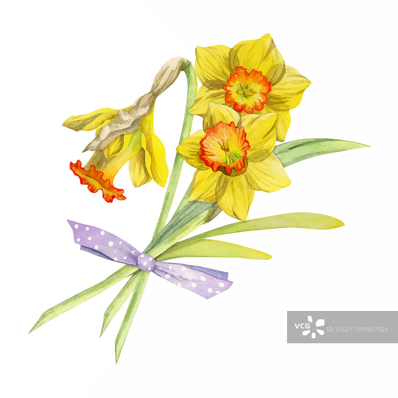 手绘水彩风格的春季构图图片素材