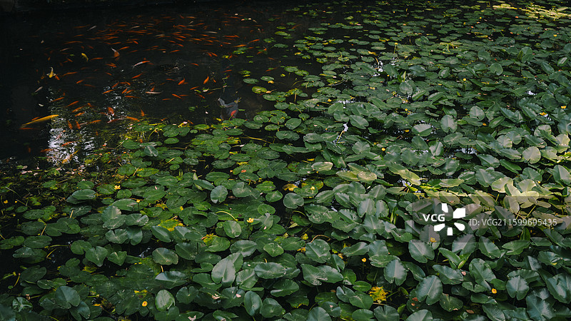 惠山古镇风景图片素材