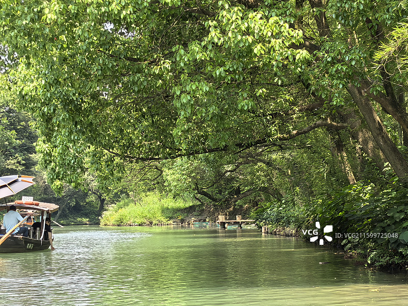 杭州自然风光西溪湿地河渚水塘树荫摇橹船图片素材