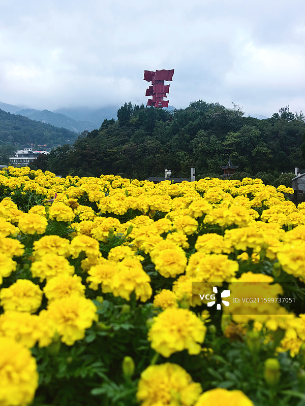 黄花簇拥下的红色丰碑（英雄山）图片素材