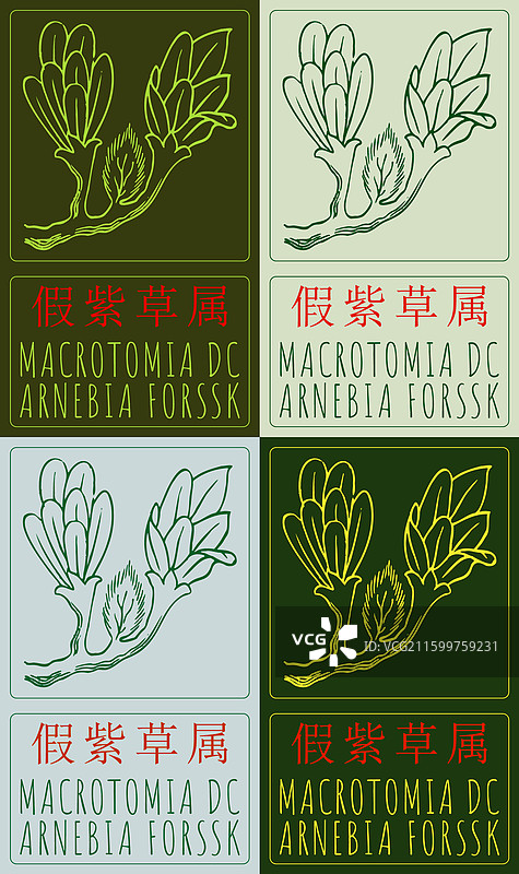 一套中国水墨画风格的宏观解剖图图片素材