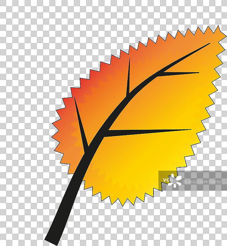 橙色背景上的秋季桦树叶图片素材