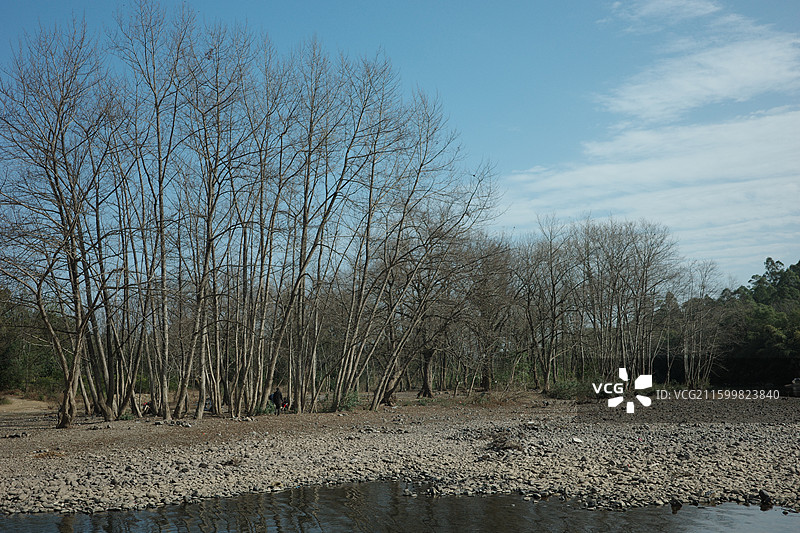 秋末冬初，林间斑斓未褪，一湾寒水蜿蜒，流淌着季节交替的静谧与诗意。图片素材