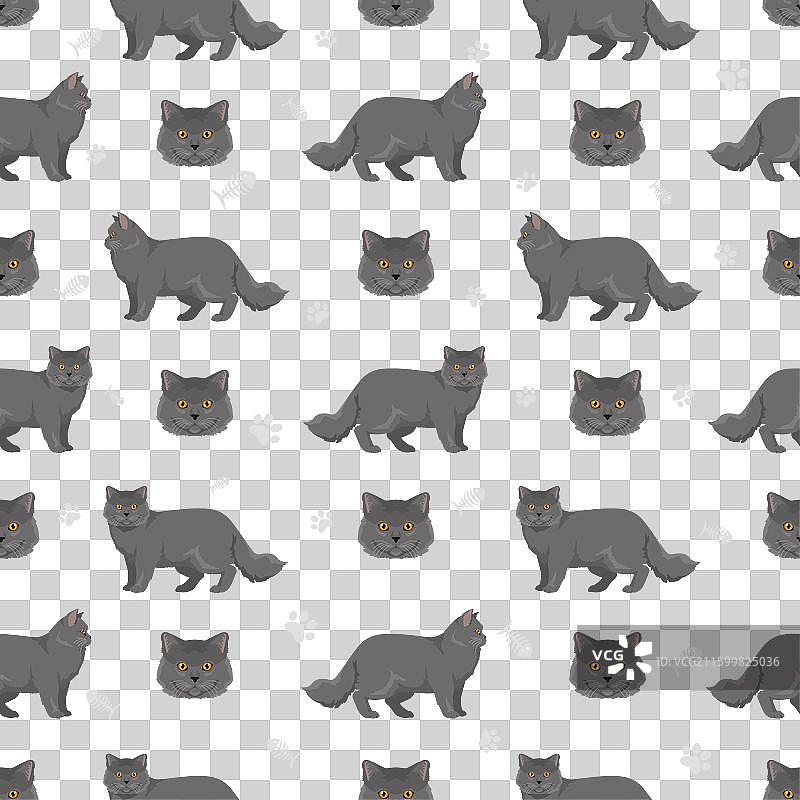 英国长毛猫全毛皮无缝图案图片素材