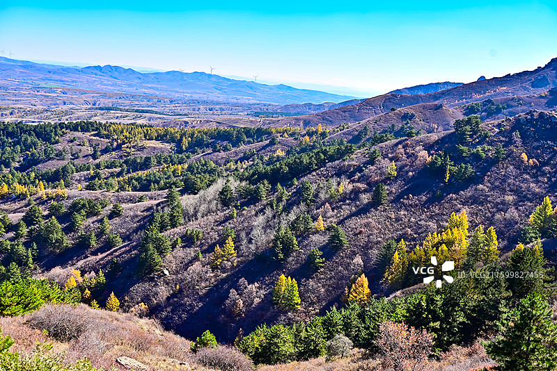 空中景观中树木的高角度视图图片素材