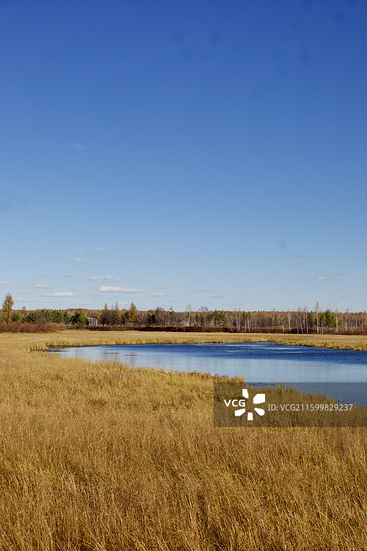 湿地 公园 伊春 小兴安岭 天 蓝色 草地 湖泊 水域图片素材