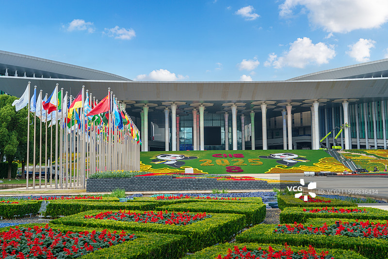 第八届中国国际进口博览会万国旗图片素材