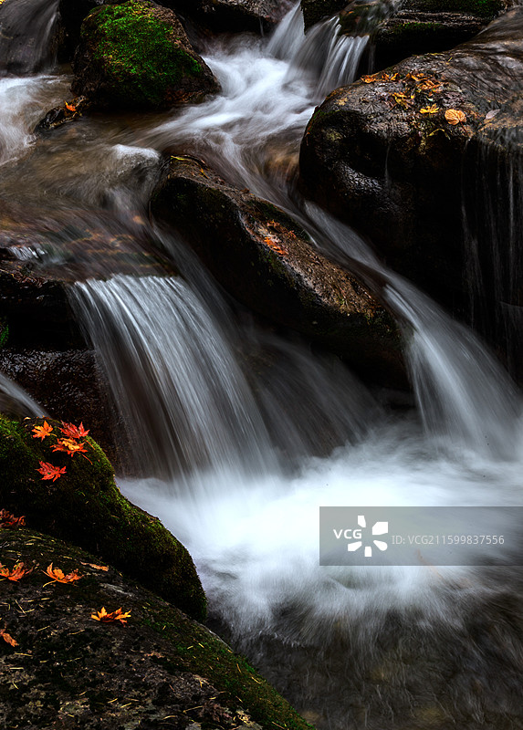 霜叶红于火，飞瀑映秋波图片素材