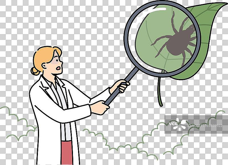 女科学家研究脑炎蜱图片素材