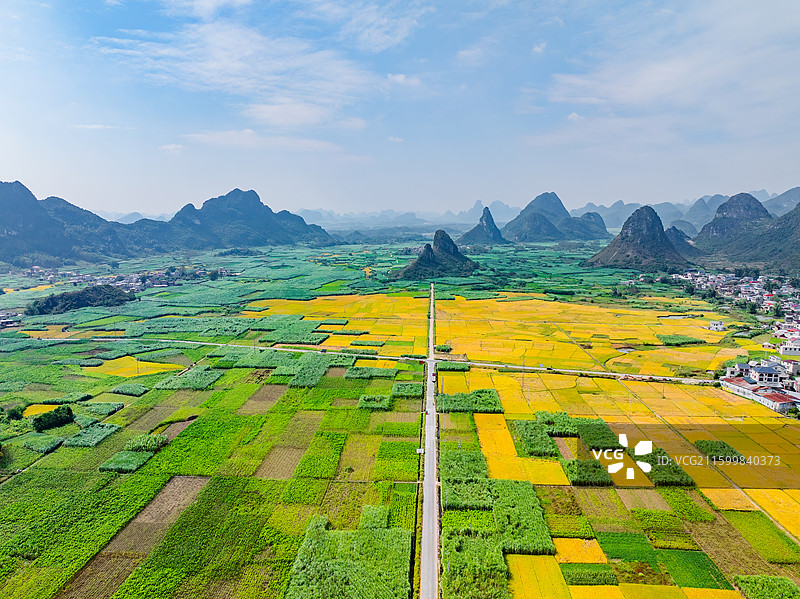 广西柳州柳城古砦金黄色的稻田、笔直的公路与喀斯特地貌航拍视角风光图片素材