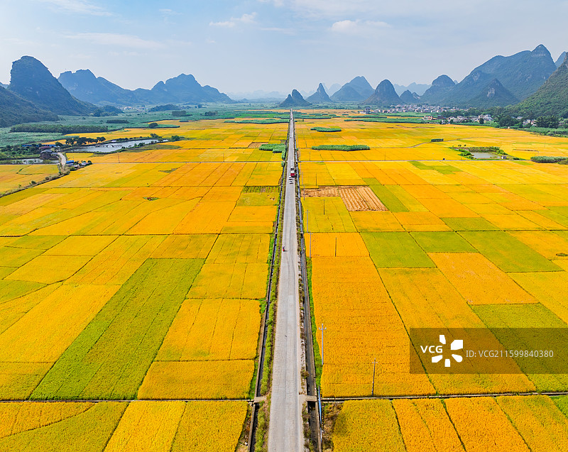 广西柳州柳城古砦金黄色的稻田、笔直的公路与喀斯特地貌航拍视角风光图片素材