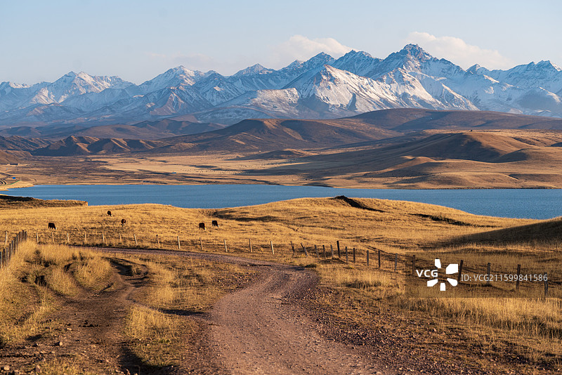 静谧的山丹马场与祁连山，见证了匈奴人和汉人的爱恨情仇图片素材