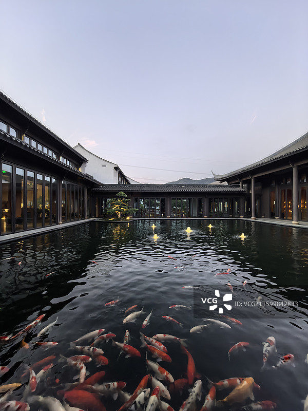 苏州大观酒店的鲤鱼池图片素材