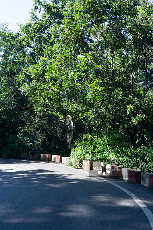 昆明西山森林公园林间弯道图片素材